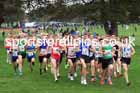 Senior Mens relay, 2025 Northern Cross Country Relays, Graves Park, Sheffield. Photo: David T. Hewitson/Sports for All Pics